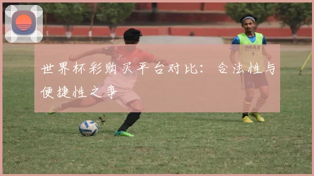 世界杯彩购买平台对比:合法性与便捷性之争