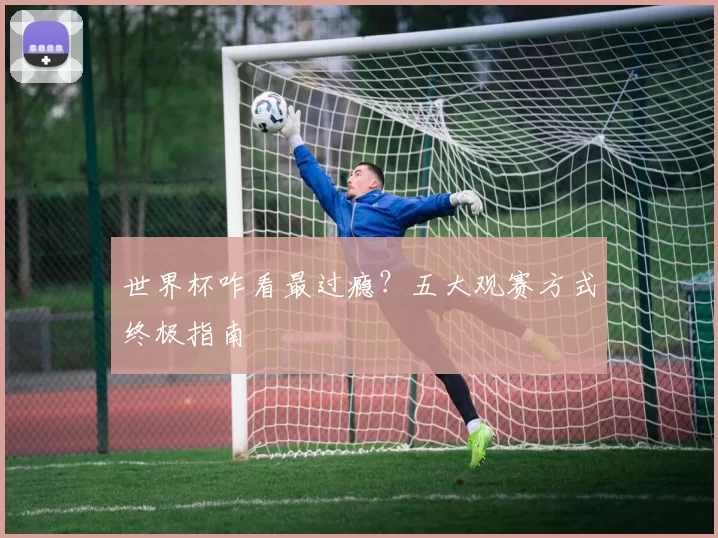 世界杯咋看最过瘾？五大观赛方式终极指南