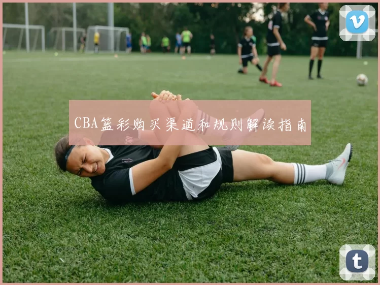 CBA篮彩购买渠道和规则解读指南