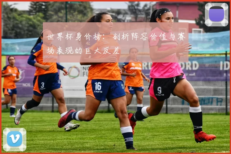 世界杯身价榜:剖析阵容价值与赛场表现的巨大反差
