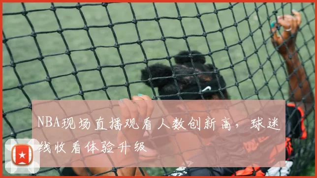 NBA现场直播观看人数创新高，球迷线收看体验升级