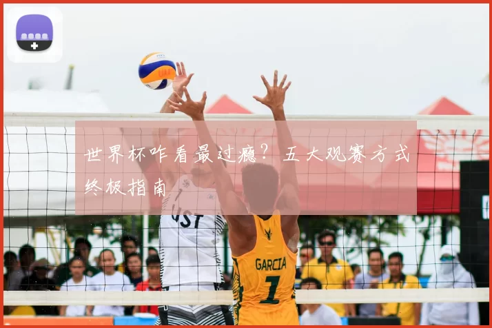 世界杯咋看最过瘾？五大观赛方式终极指南