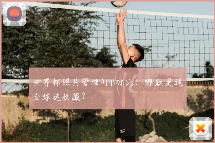世界杯照片管理App对比:哪款更适合球迷收藏?