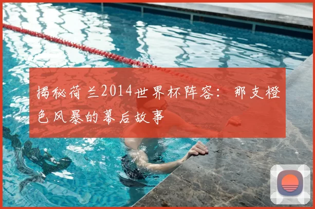 揭秘荷兰2014世界杯阵容:那支橙色风暴的幕后故事