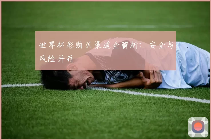 世界杯彩购买渠道全解析:安全与风险并存
