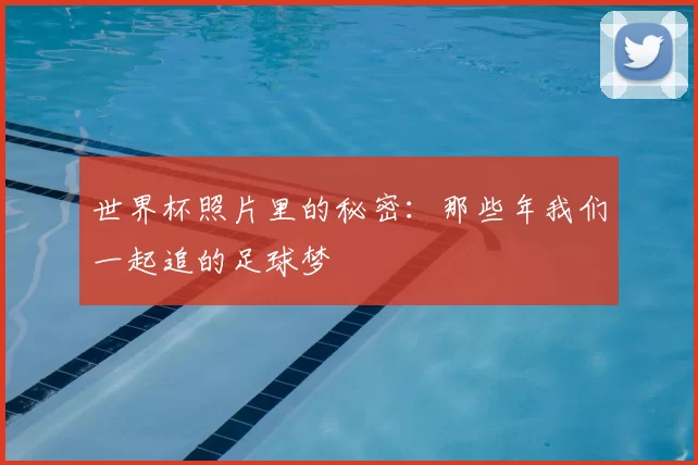 世界杯照片里的秘密:那些年我们一起追的足球梦