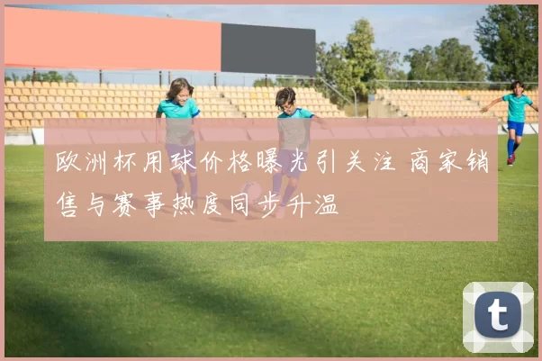 欧洲杯用球价格曝光引关注 商家销售与赛事热度同步升温