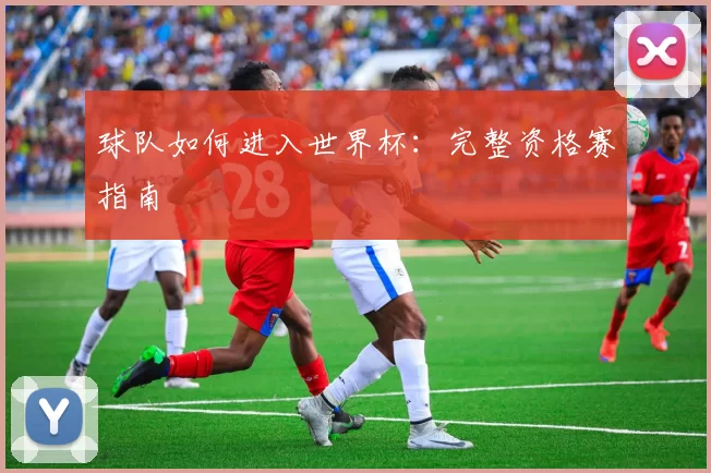 球队如何进入世界杯:完整资格赛指南